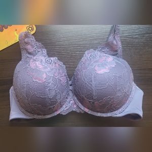 Torrid Curve, purple bra, 40C